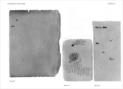 Vanesa Varela: Notas de Duchamp